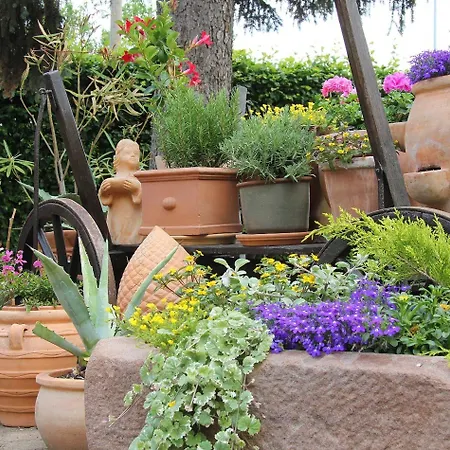 Hotel Waldschloesschen 3*