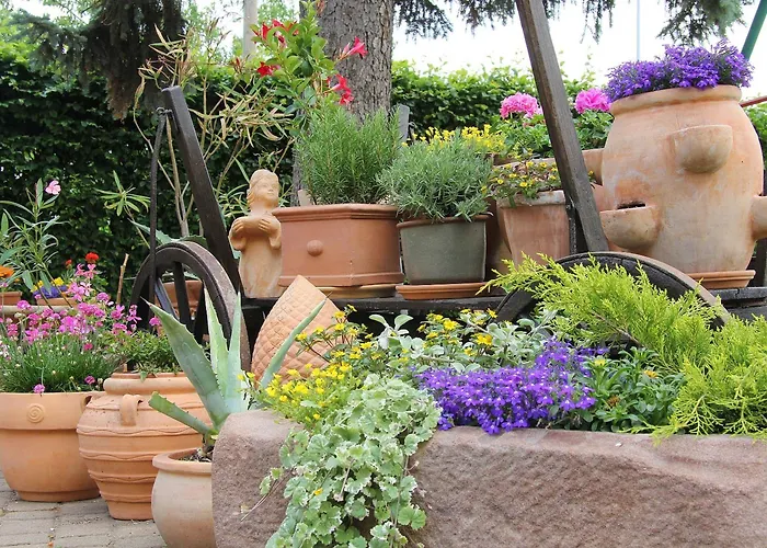 Hotel Waldschlößchen 3*